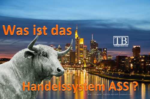 Was ist ASS